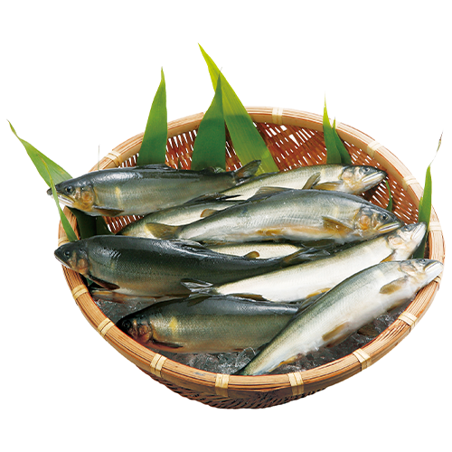 プロゲーマー2人が熊本で人の温かさに触れる！人情紀行番組「ストリートファイター×e-Travel熊本」