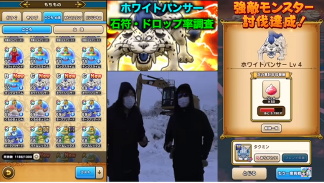 強敵「ホワイトパンサー」は後回し?優先すべきは「ドラゴンライダー」だ【ドラクエウォーク 秋田局】