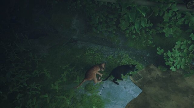 猫ゲー『Stray』は、どこまで「猫の魅力」に溢れているのか？ 猫飼いも納得の豊富なアクション＆猫あるあるを見よ！