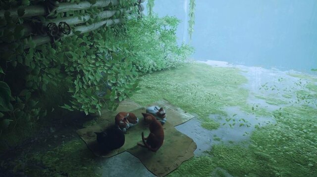 猫ゲー『Stray』は、どこまで「猫の魅力」に溢れているのか？ 猫飼いも納得の豊富なアクション＆猫あるあるを見よ！