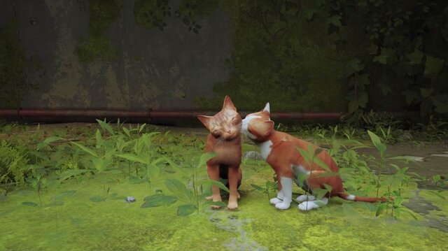 猫ゲー『Stray』は、どこまで「猫の魅力」に溢れているのか？ 猫飼いも納得の豊富なアクション＆猫あるあるを見よ！