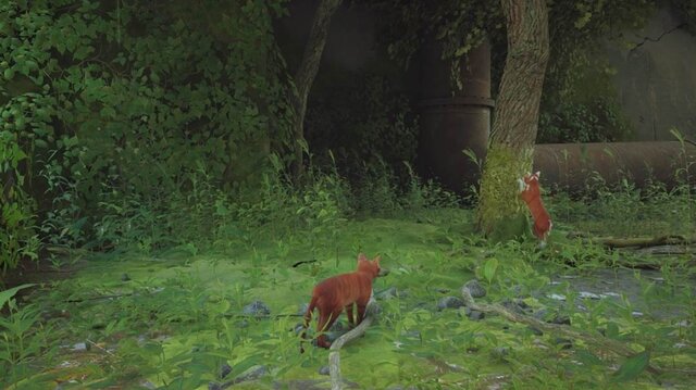 猫ゲー『Stray』は、どこまで「猫の魅力」に溢れているのか？ 猫飼いも納得の豊富なアクション＆猫あるあるを見よ！