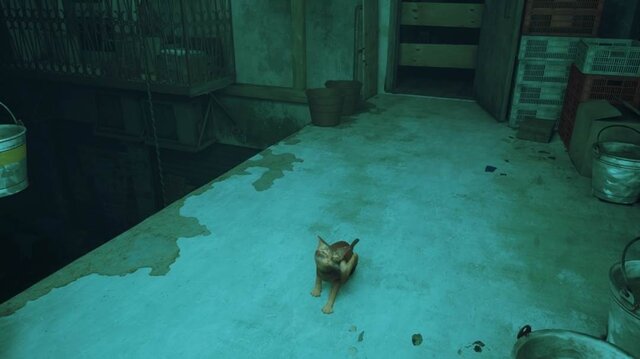 猫ゲー『Stray』は、どこまで「猫の魅力」に溢れているのか？ 猫飼いも納得の豊富なアクション＆猫あるあるを見よ！