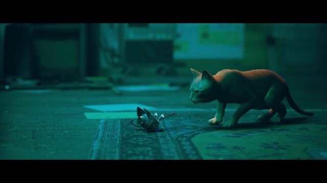 猫ゲー『Stray』は、どこまで「猫の魅力」に溢れているのか？ 猫飼いも納得の豊富なアクション＆猫あるあるを見よ！