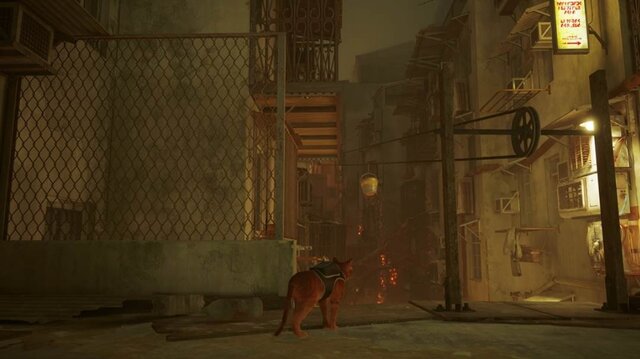 猫ゲー『Stray』は、どこまで「猫の魅力」に溢れているのか？ 猫飼いも納得の豊富なアクション＆猫あるあるを見よ！