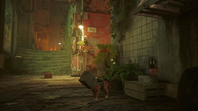 猫ゲー『Stray』は、どこまで「猫の魅力」に溢れているのか？ 猫飼いも納得の豊富なアクション＆猫あるあるを見よ！