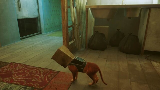 猫ゲー『Stray』は、どこまで「猫の魅力」に溢れているのか？ 猫飼いも納得の豊富なアクション＆猫あるあるを見よ！