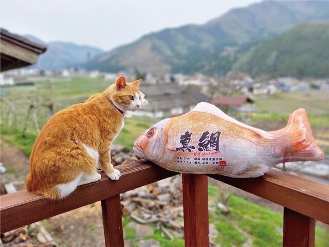 釣った魚がリアルなクッションに！魚拓のような「ぎょたクッション」が本物そっくりでヤバい