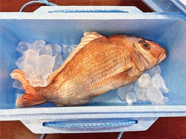 釣った魚がリアルなクッションに！魚拓のような「ぎょたクッション」が本物そっくりでヤバい