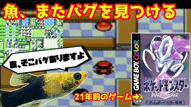 『ポケモン』ニュースランキング―伊東ライフ先生のポケモン企画でまたもや珍事！？NYに“リアルポケモンジム”も出現