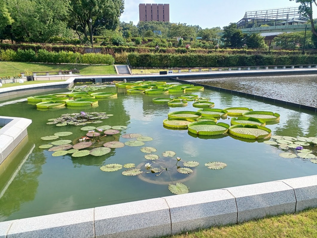 『ミリオン』×「でらます」を思う存分楽しむ！名古屋の観光地や食事、10thツアー会場の様子などお届け【現地レポート】