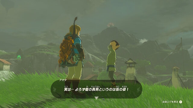 『ゼルダの伝説 ティアキン』今、再びのNPC密着取材・子供たち編―天変地異になっても元気に育つ！ハテノ村とゲルドの街で観察してみた