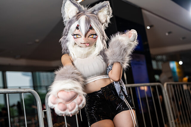 ケモコス/Nekoneko JX(X:@NekonekoJX)