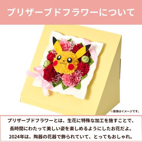 “母の日”ギフトにピカチュウを！お花でかわいく再現したピカチュウ＆ピチューのメッセージカードつきギフト2種が予約受付開始