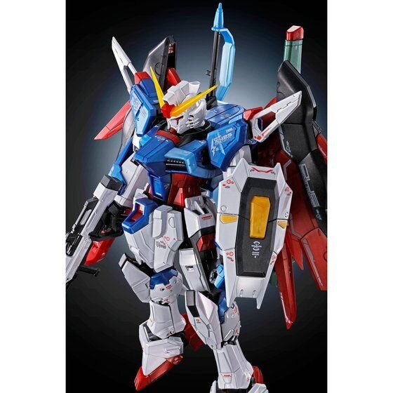 RG 1/144 デスティニーガンダム［チタニウムフィニッシュ］