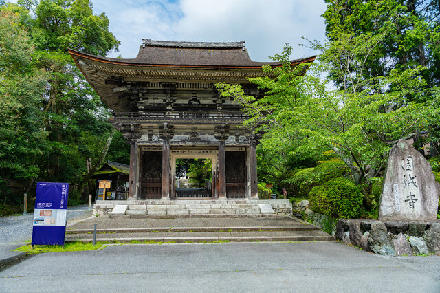 びわ湖を眺めながら食べる「力餅」は美味！紫式部が『源氏物語』を書き始めたと伝わる滋賀県・大津市で「紫式部謎解きまちめぐり」に挑戦しよう