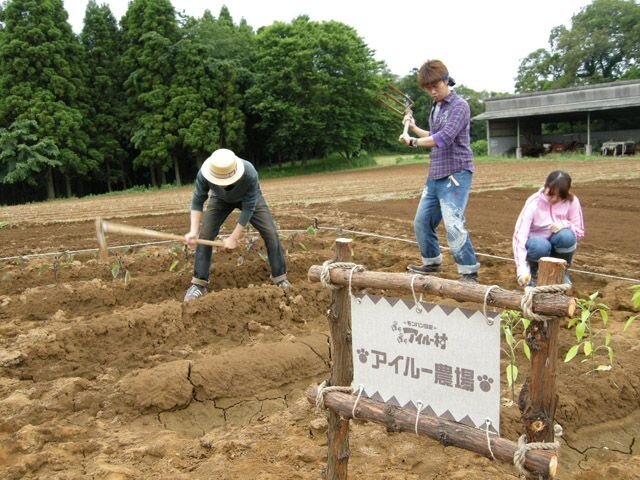 「アイルー農場プロジェクト」で収穫体験ツアーを実施、抽選でモンハン部員を招待