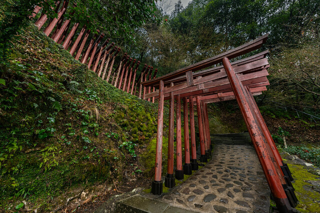 祐徳稲荷神社