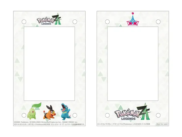 ビックカメラ/ソフマップ/コジマ（それぞれのゲーム取扱店のみ）