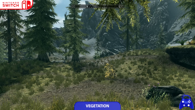 入力遅延が著しい…スイッチ2版『スカイリム』はスイッチよりグラフィック大幅向上、しかし“30fps制限”など問題も