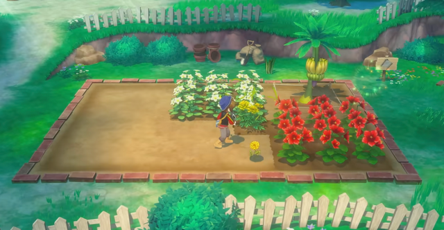 【特集】顔・髪型・洋服…本当にこだわり抜いたキャラクタークリエイトがしたいあなたへ!キャラクリ要素が豊富なスイッチ向けゲーム5選