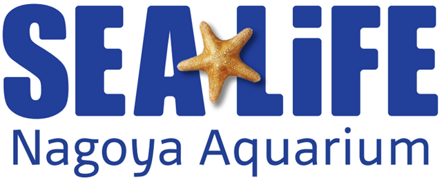 『あつ森』×「名古屋シーライフ水族館」コラボが期間限定開催!フータによる解説や限定グッズ販売、「小さなかいがらのリースづくり」ワークショップなど