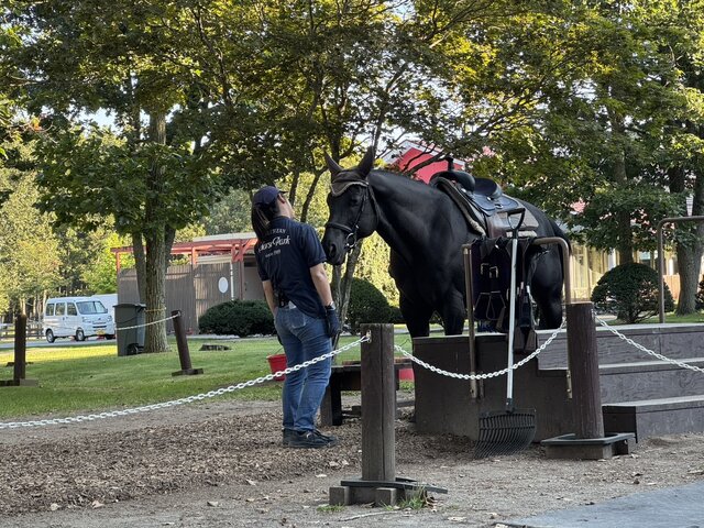 【特集】現代競馬の偉大なる母、御年35歳のウインドインハーヘアに後光がさしていた…！名馬と触れ合える「ノーザンホースパーク」訪問記