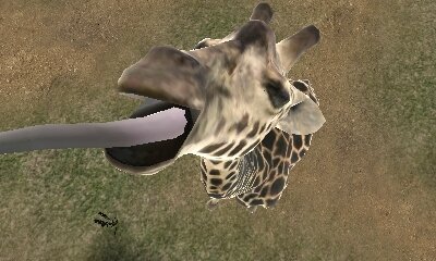 アニマルリゾート 動物園をつくろう!! 