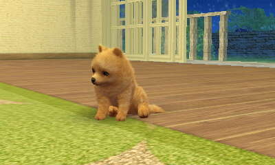 nintendogs + cats