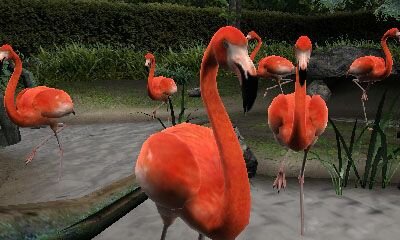 アニマルリゾート 動物園をつくろう!!