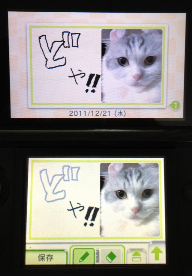 『ニンテンドー3DSカメラ』で撮った写真をはりつけて。もちろん3D。