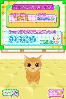 かわいい子猫DS