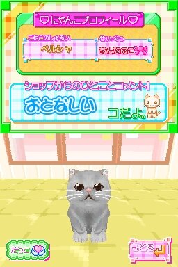 かわいい子猫DS