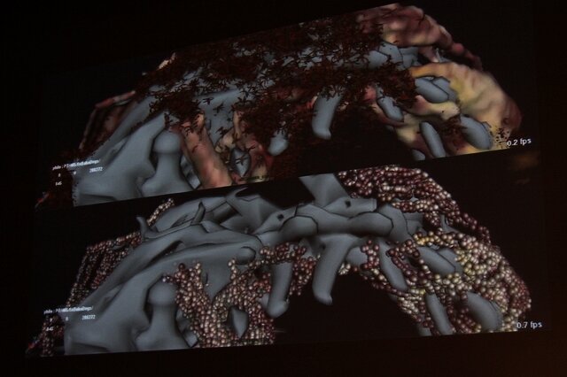 召喚獣の肉体形成