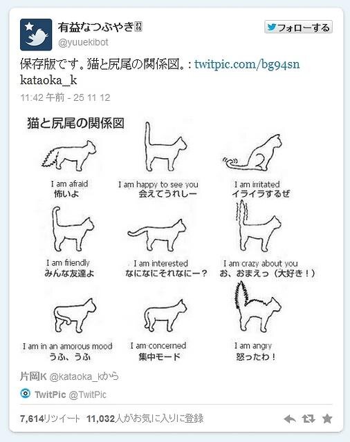 Twitter公式ブログで紹介されたツイート