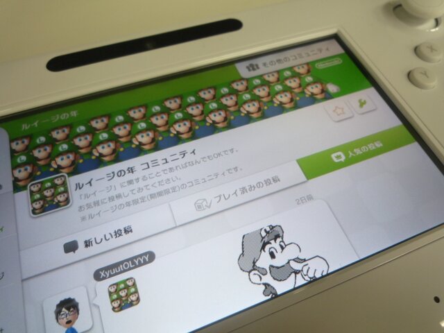 ルイージの年 コミュニティ