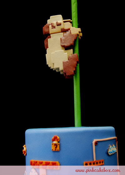 25th Anniversary Super Mario Brothers Cake