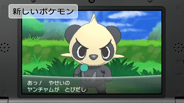 新ポケモンの姿も