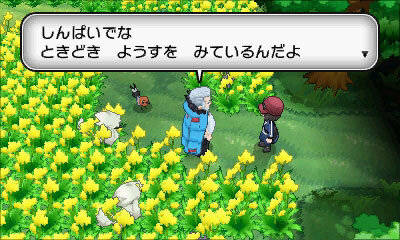 たくさんのポケモンたちに慕われています