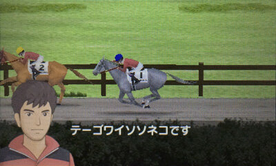 調教して立派な競走馬へ