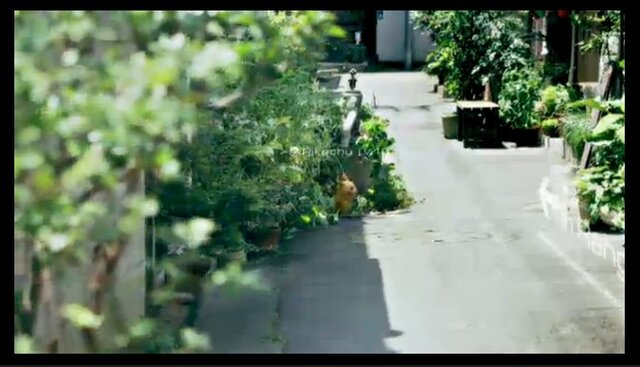 【レポート】岩田聡と共に追いかけた『ポケモンGO』への想いを石原恒和や宮本茂が語る