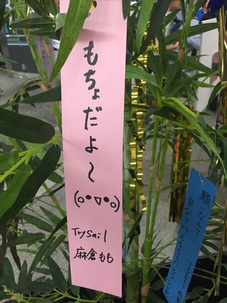 「傷物語」秋葉原で七夕イベント　神谷浩史、坂本真綾、花澤香菜らが願ったこととは？