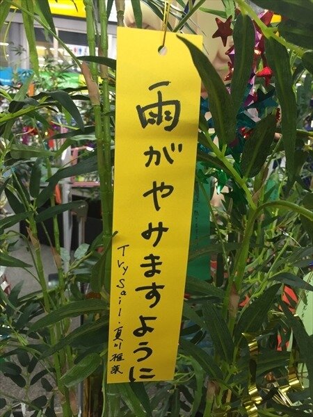 「傷物語」秋葉原で七夕イベント　神谷浩史、坂本真綾、花澤香菜らが願ったこととは？