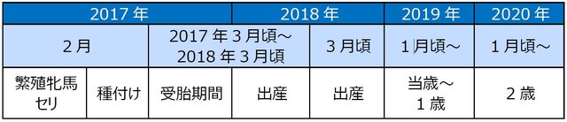 本物の競走馬を育成する「リアルダビスタ」プロジェクトが始動―あらゆる決断をニコ生ユーザーに委ねる