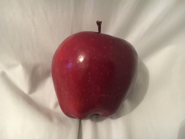 【E3 2017】「E3 2017」で手に入れたグッズをご紹介―『ゼルダの伝説』ステーキも食べてきた