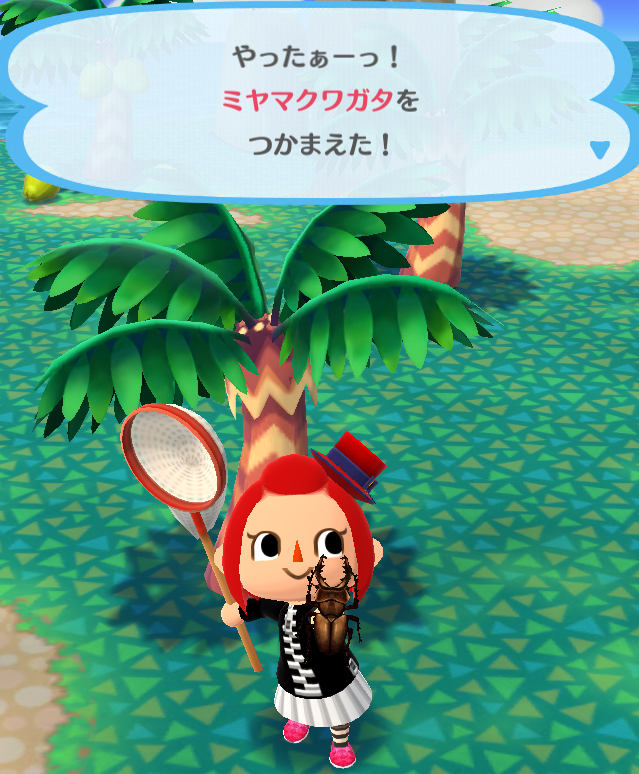 『ポケ森』クール勢のキャンプ場運営日記 ～おいしいですよね、カブトムシ～