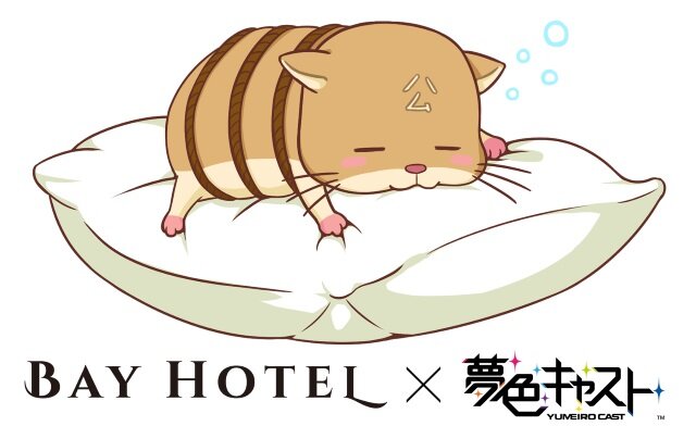 『夢キャス』×「秋葉原 BAY HOTEL」予約が1月6日より開始―女性専用カプセルホテルとコラボ