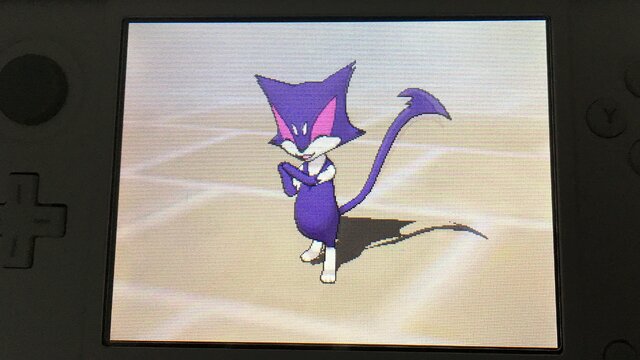 家族にしたいポケモン21選・前編！定番のポケモンから犬・猫系ポケモンも