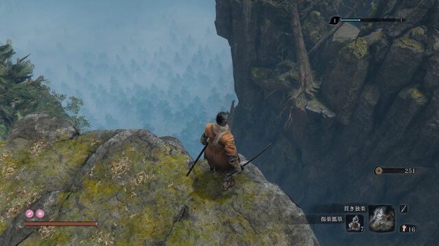 死んでも見たい『SEKIRO』の絶景─見晴らし抜群の「天守望楼」、紅葉染まる「仙峯寺」、雪化粧の「落ち谷」・・・そのお代は“忍びの命”！