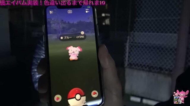 色違いエイパム実装！「名探偵ピカチュウ」コラボイベントで探し出せ【ポケモンGO 秋田局】